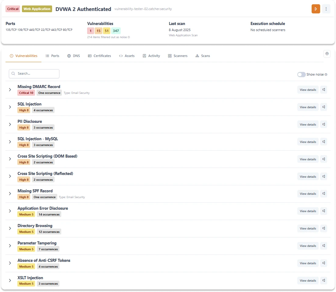 Web application scanner details.webp image